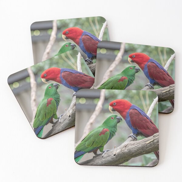 Item preview, Eclectus Parrots designed and sold by pawprintz.