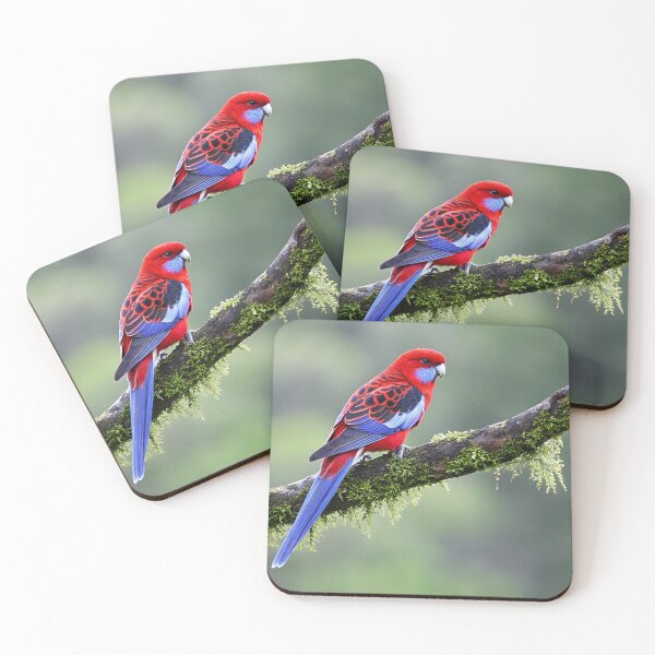 Item preview, Crimson Rosella designed and sold by pawprintz.