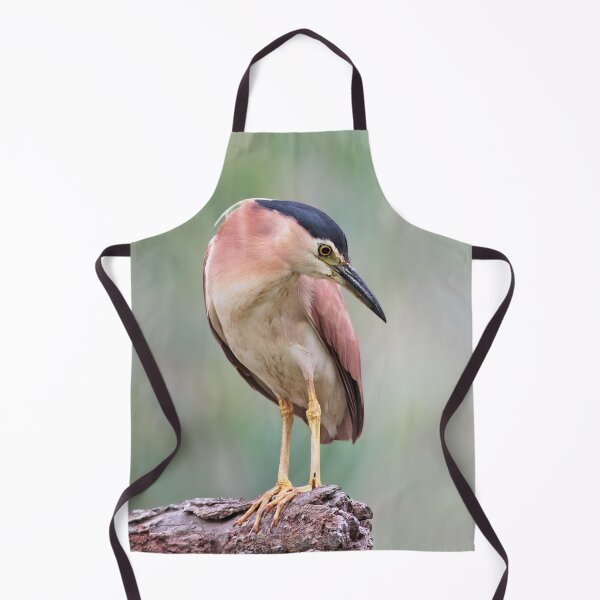 Item preview, Nankeen Night Heron 1 designed and sold by Seesee.