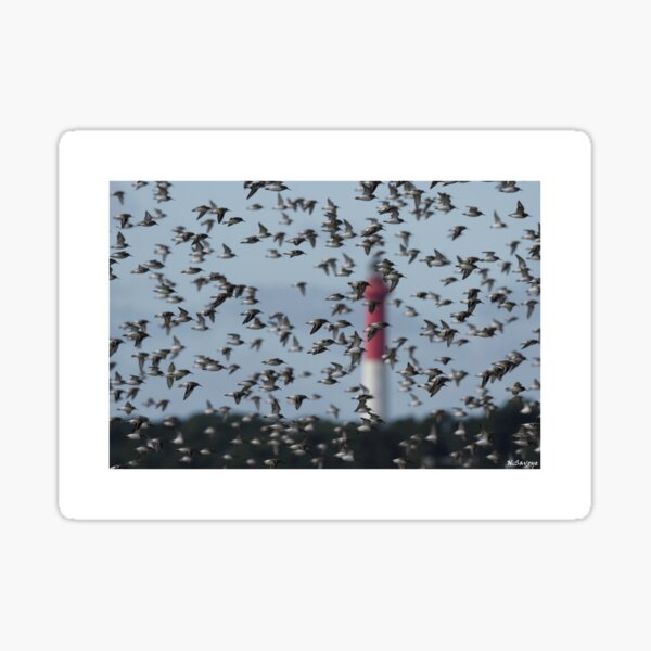 Item preview, Phare de la Coubre designed and sold by Nicolas SAVOYE.