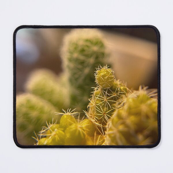 Item preview, Cactus Bud designed and sold by H4ppyFace2Trace.
