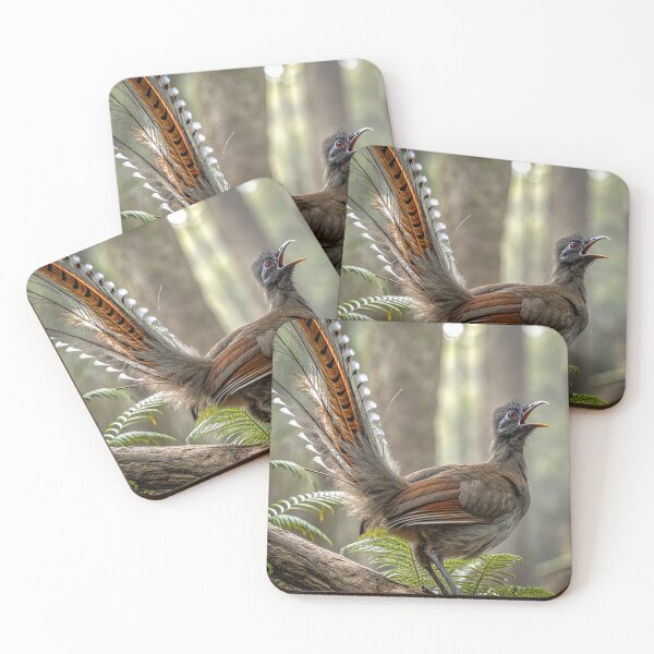 Item preview, Lyrebird singing designed and sold by pawprintz.