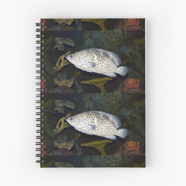 Item preview, Polka Dot Grouper designed and sold by Savannah Gibbs.