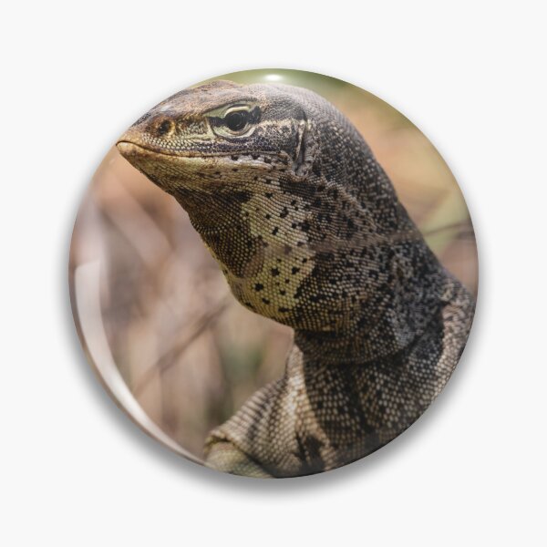 Item preview, Goanna At Town Common designed and sold by AMBPIXELS.