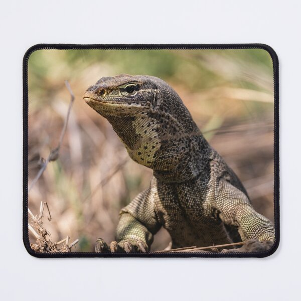 Item preview, Goanna At Town Common designed and sold by AMBPIXELS.