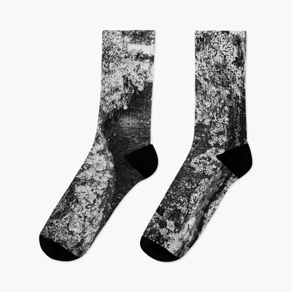 Item preview, Bark in birch bw designed and sold by Jouko Lehto Photography.