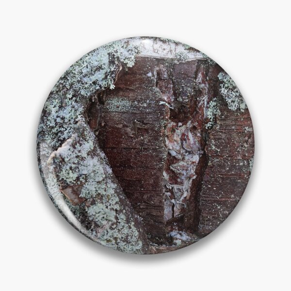 Item preview, Bark in birch designed and sold by Jouko Lehto Photography.