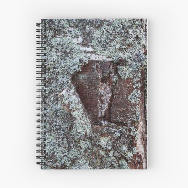 Item preview, Bark in birch designed and sold by Jouko Lehto Photography.