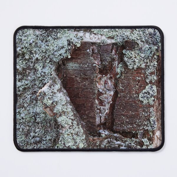 Item preview, Bark in birch designed and sold by Jouko Lehto Photography.