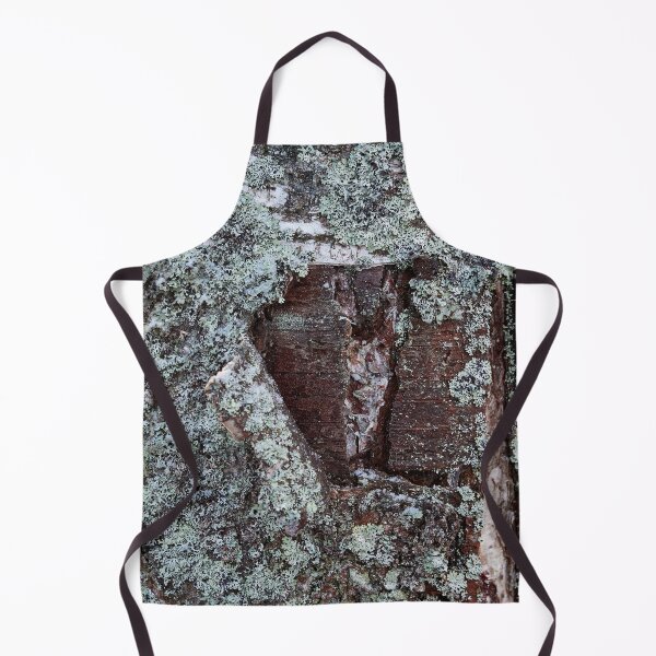 Item preview, Bark in birch designed and sold by Jouko Lehto Photography.