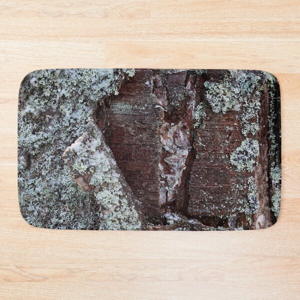 Item preview, Bark in birch designed and sold by Jouko Lehto Photography.