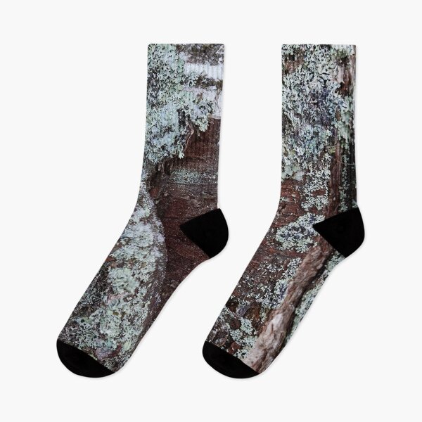 Item preview, Bark in birch designed and sold by Jouko Lehto Photography.