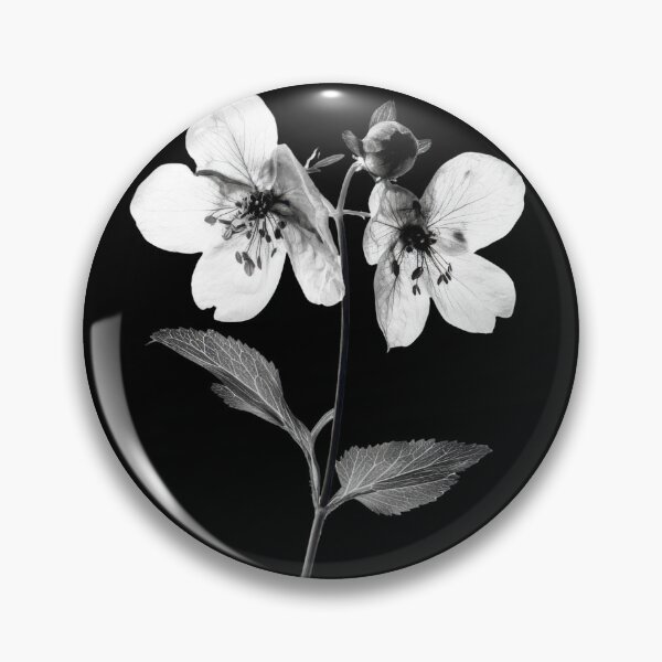 Item preview, Black and White Bladder Campion Flower v3 designed and sold by PiranhaEatFashion.