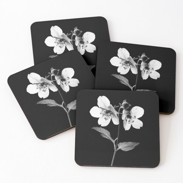 Item preview, Black and White Bladder Campion Flower v3 designed and sold by PiranhaEatFashion.
