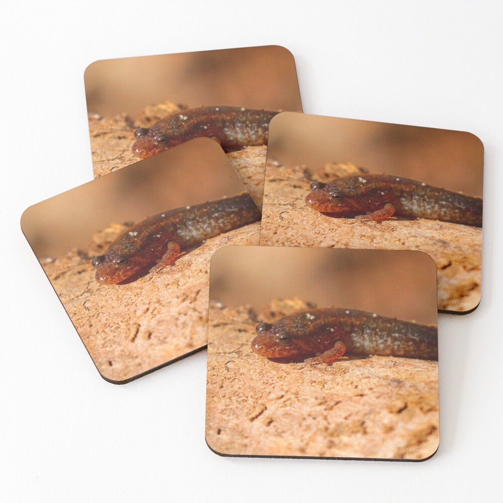 Item preview, Coasters (Set of 4) designed and sold by NatureWithX.