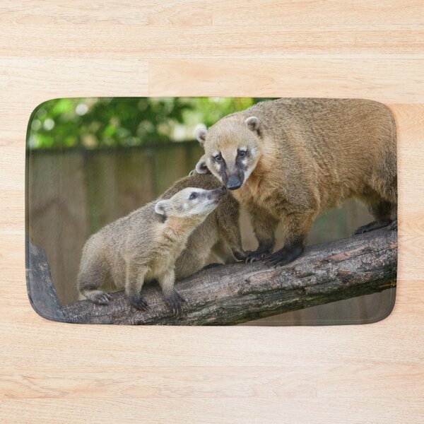Item preview, Coati Pup Shares a Tender Moment with Mum designed and sold by rawshutterbug.