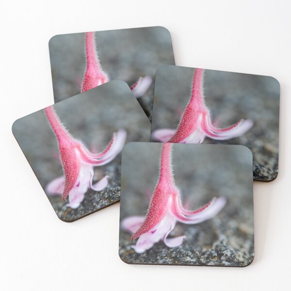 Item preview, Fallen Cyclamen Petal designed and sold by Pixel Press Prints.
