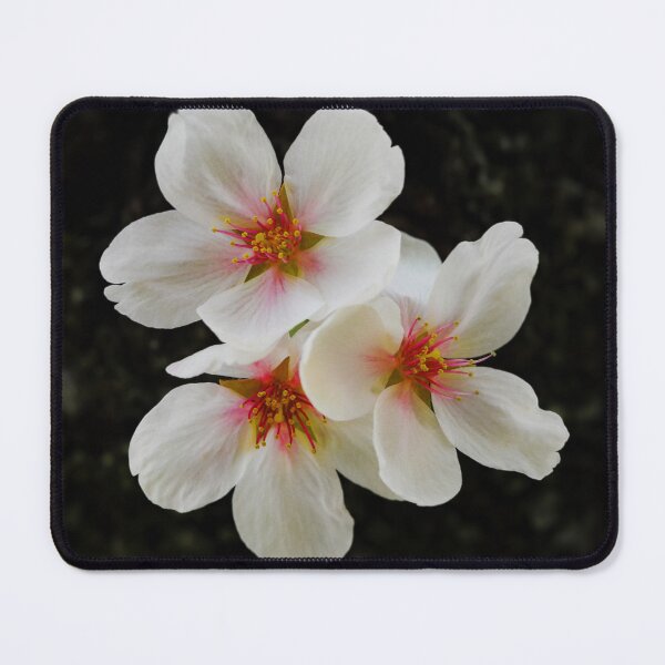 Item preview, Flowers and roses 148 - (c) ben yassa designed and sold by beny .