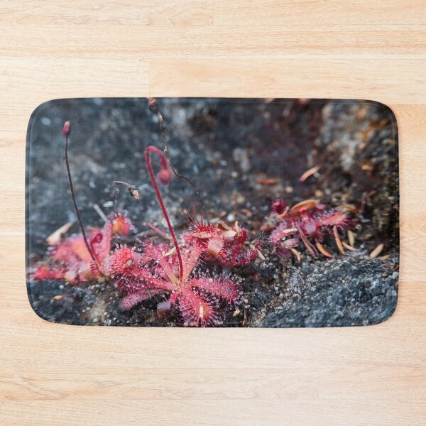 Item preview, Sundew Colony - Nature's Tiny Carnivores designed and sold by Pixel Press Prints.