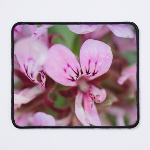 Item preview, Pelargonium Petals - Nature's Pink Watercolor designed and sold by Pixel Press Prints.
