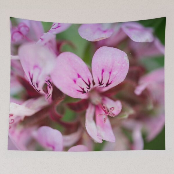 Item preview, Pelargonium Petals - Nature's Pink Watercolor designed and sold by Pixel Press Prints.