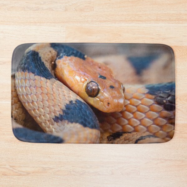 Item preview, Tiger Snake (Telescopus beetzi) designed and sold by Pixel Press Prints.