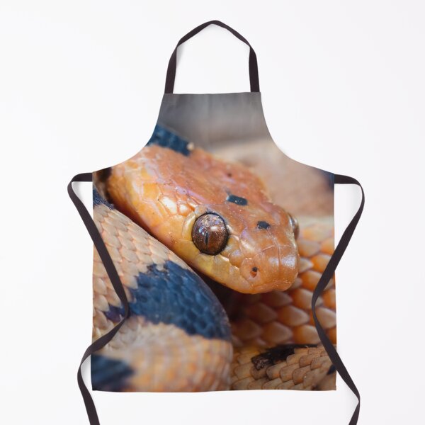 Item preview, Tiger Snake (Telescopus beetzi) designed and sold by Pixel Press Prints.