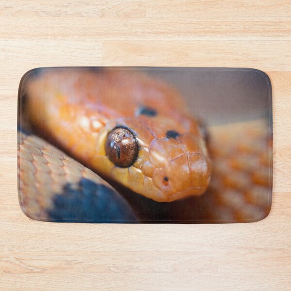 Item preview, Tiger Snake (Telescopus beetzi) designed and sold by Pixel Press Prints.