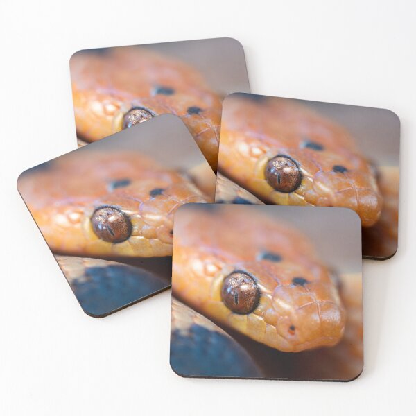 Item preview, Tiger Snake (Telescopus beetzi) designed and sold by Pixel Press Prints.
