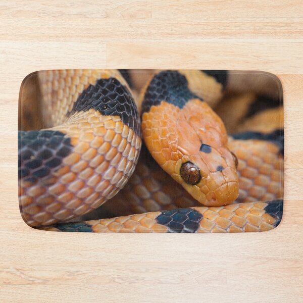 Item preview, Tiger Snake (Telescopus beetzi) designed and sold by Pixel Press Prints.