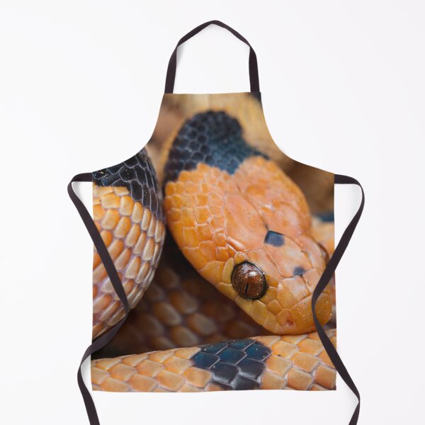 Item preview, Tiger Snake (Telescopus beetzi) designed and sold by Pixel Press Prints.