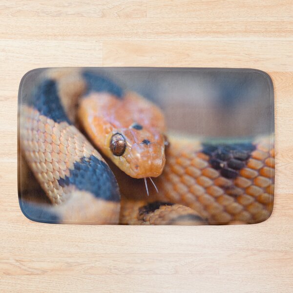 Item preview, Tiger Snake (Telescopus beetzi) designed and sold by Pixel Press Prints.