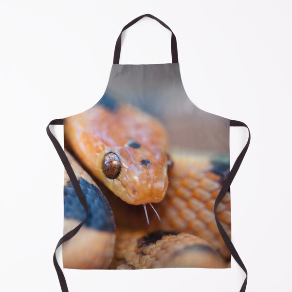Item preview, Tiger Snake (Telescopus beetzi) designed and sold by Pixel Press Prints.