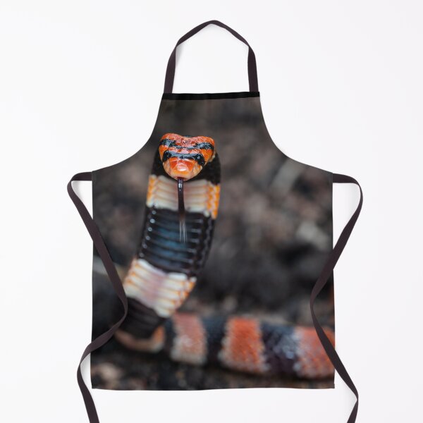 Item preview, Cape Coral Snake (Aspidelaps lubricus) designed and sold by Pixel Press Prints.
