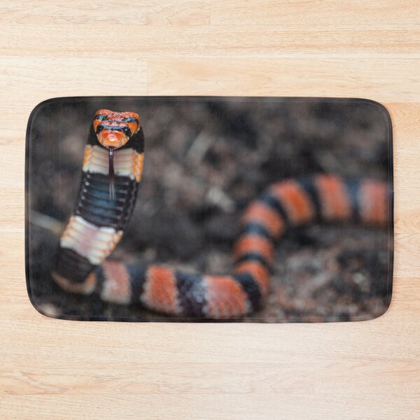 Item preview, Cape Coral Snake (Aspidelaps lubricus) designed and sold by Pixel Press Prints.