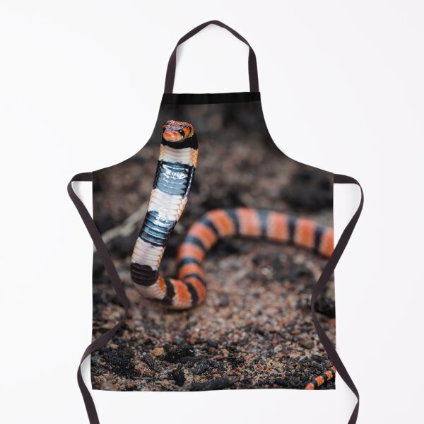 Item preview, Cape Coral Snake (Aspidelaps lubricus) designed and sold by Pixel Press Prints.