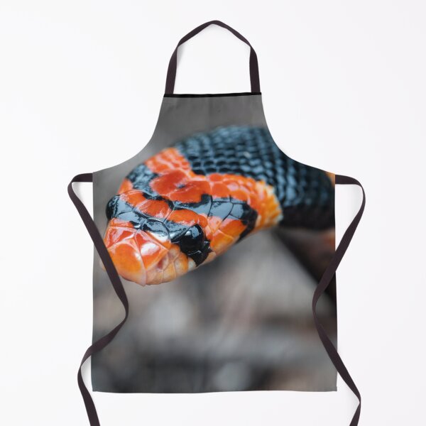 Item preview, Cape Coral Snake (Aspidelaps lubricus) designed and sold by Pixel Press Prints.