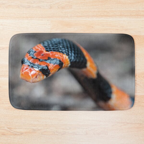 Item preview, Cape Coral Snake (Aspidelaps lubricus) designed and sold by Pixel Press Prints.
