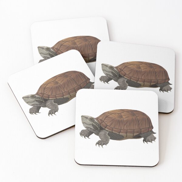 Item preview, Common Musk Turtle (Stinkpot Turtle) designed and sold by Rie-TortoTurtle.