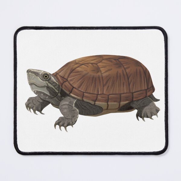 Item preview, Common Musk Turtle (Stinkpot Turtle) designed and sold by Rie-TortoTurtle.