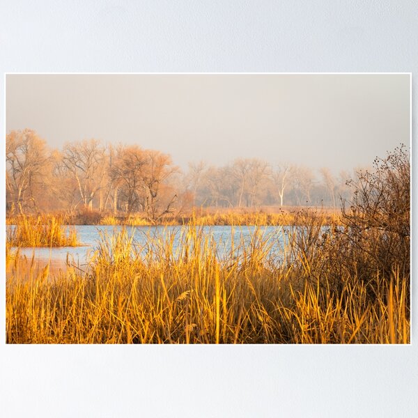 Item preview, Foggy Morning Walk On Eagle Roost Trail designed and sold by Debra Martz.