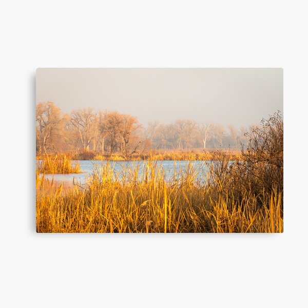 Item preview, Foggy Morning Walk On Eagle Roost Trail designed and sold by Debra Martz.