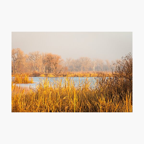 Item preview, Foggy Morning Walk On Eagle Roost Trail designed and sold by Debra Martz.