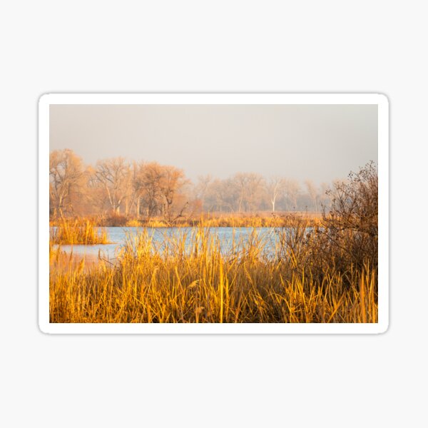 Item preview, Foggy Morning Walk On Eagle Roost Trail designed and sold by Debra Martz.