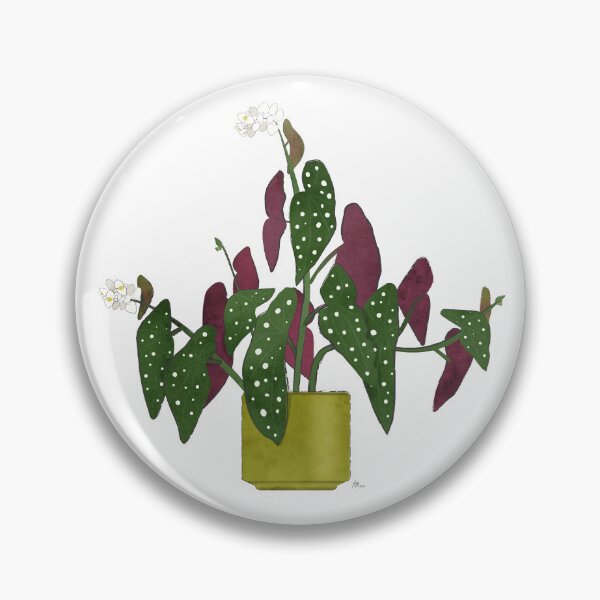 Item preview, Spotted Begonia (Begonia Maculata) designed and sold by Tatiana da Costa.