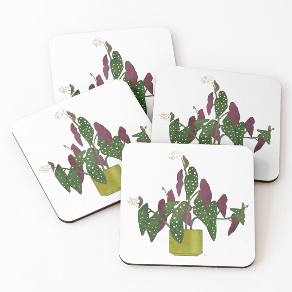 Item preview, Spotted Begonia (Begonia Maculata) designed and sold by Tatiana da Costa.