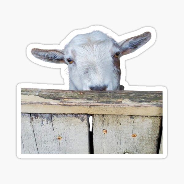Item preview, Chachi the Goat Peaking designed and sold by SpazticGoat.