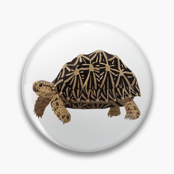 Item preview, Indian Star Tortoise designed and sold by Rie-TortoTurtle.