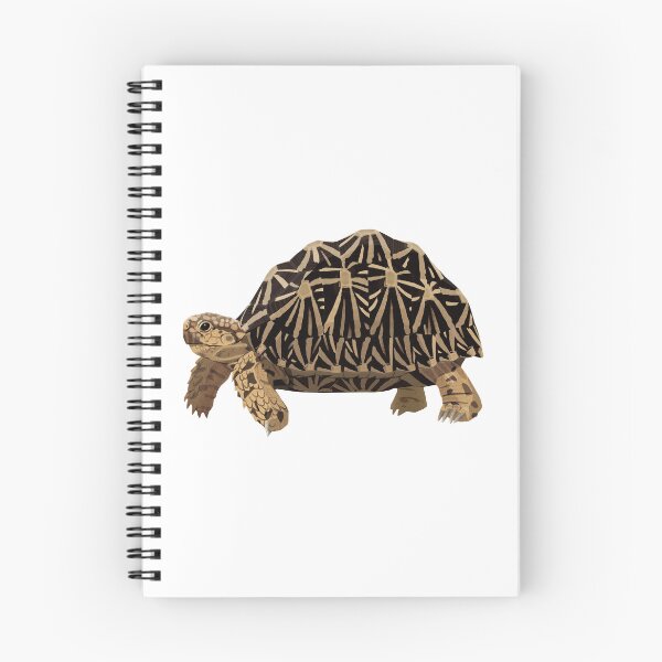 Item preview, Indian Star Tortoise designed and sold by Rie-TortoTurtle.