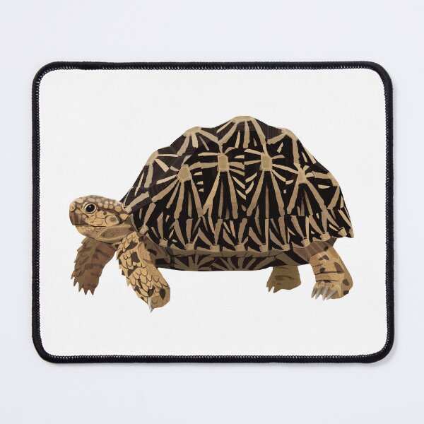 Item preview, Indian Star Tortoise designed and sold by Rie-TortoTurtle.